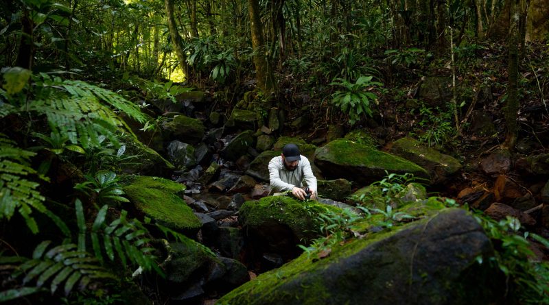 George Vlad aduce Parcul Natural Vânători Neamț pe „Spotify-ul” sunetelor din natură: România intră în premieră pe harta globală Earth FM