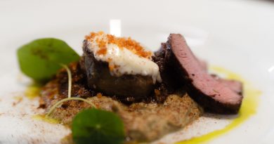 2027, an crucial pentru turismul gastronomic din România: Harghita anunță 52 de evenimente și 17 festivaluri, iar Dobrogea așteaptă validarea candidaturii în luna mai